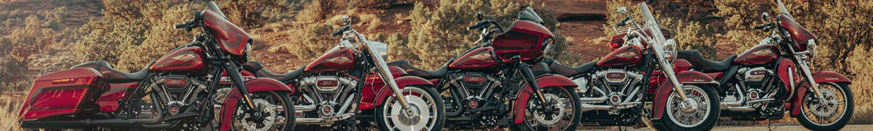 Banner Harley